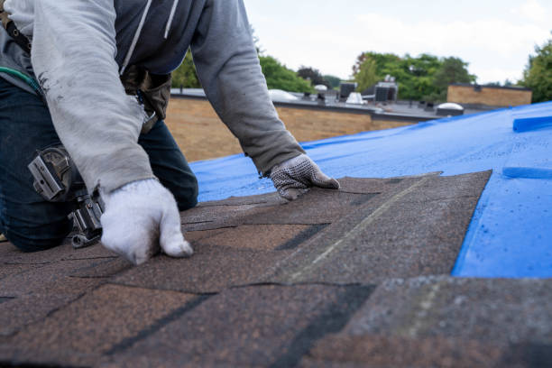 Quick and Trustworthy Emergency Roof Repair Services in Pelion, SC